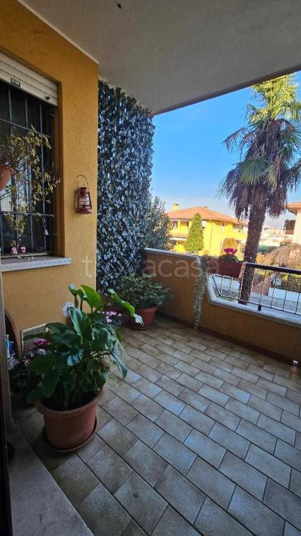 immagine annuncio 3 di 15