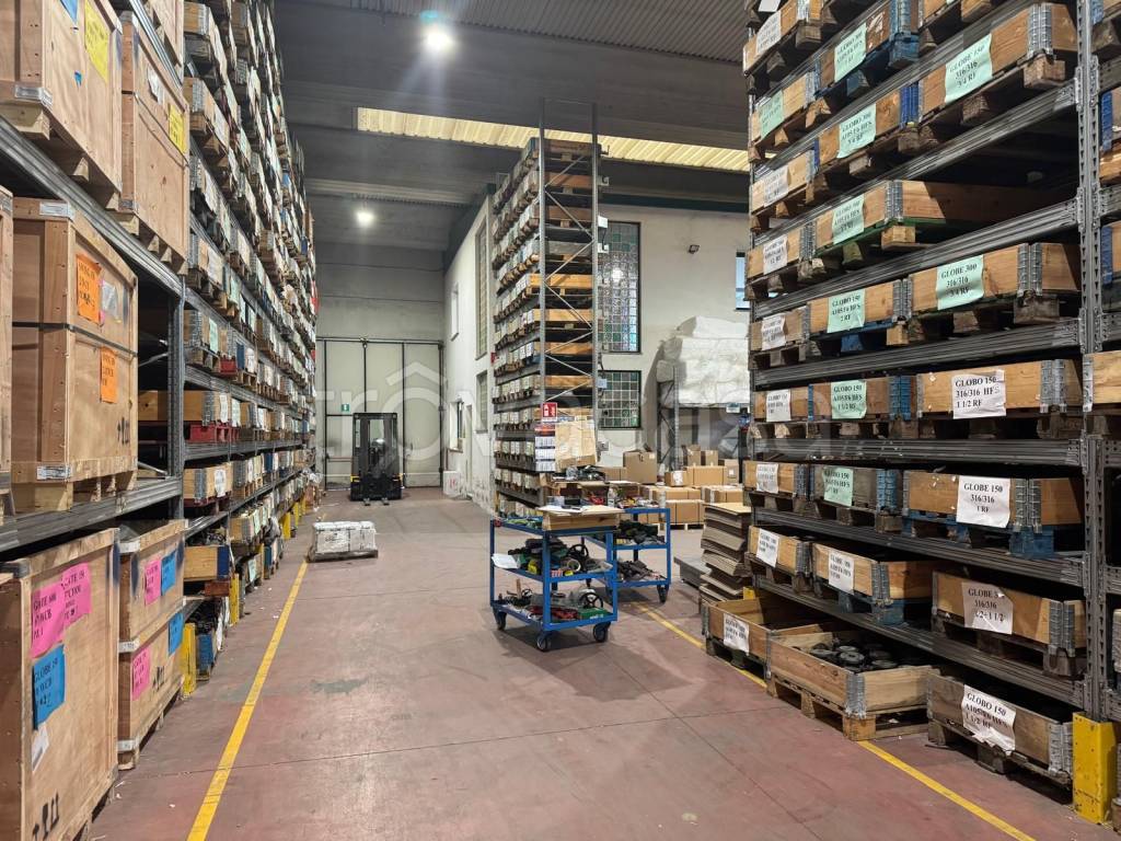 immagine annuncio 1 di 13