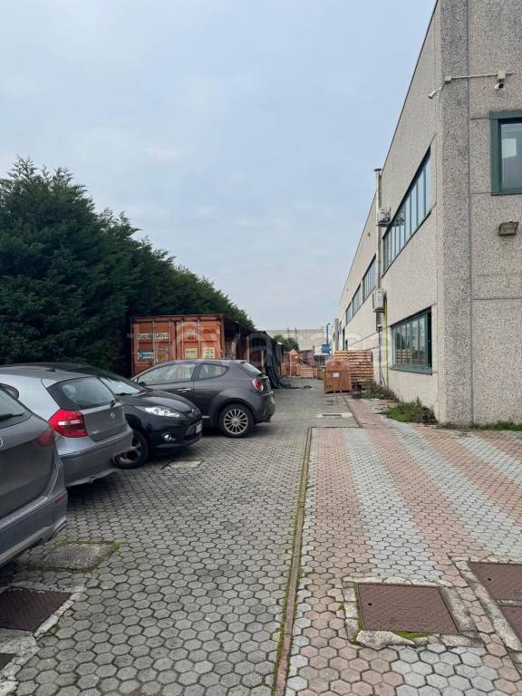 immagine annuncio 7 di 13