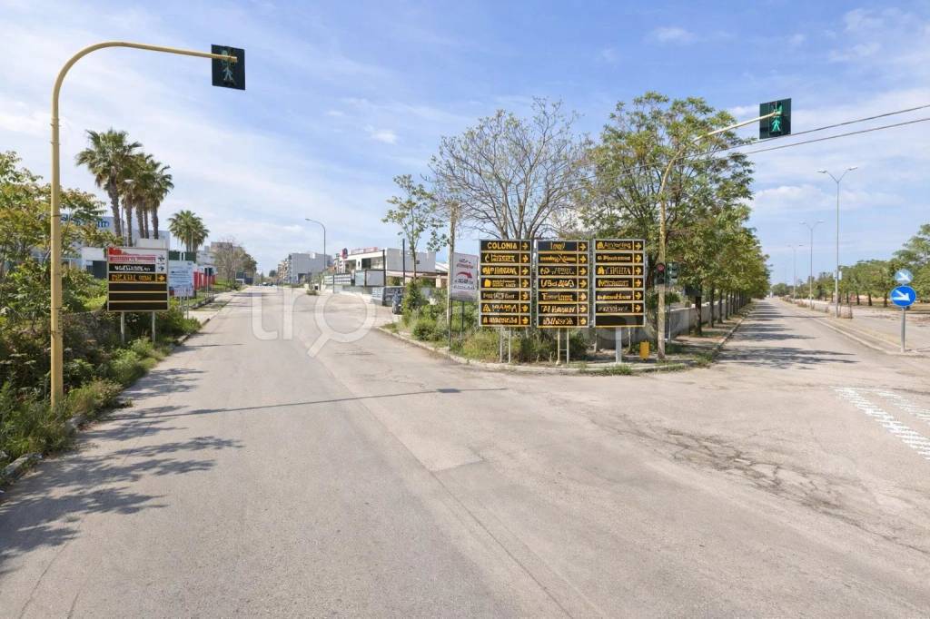 immagine annuncio 1 di 4