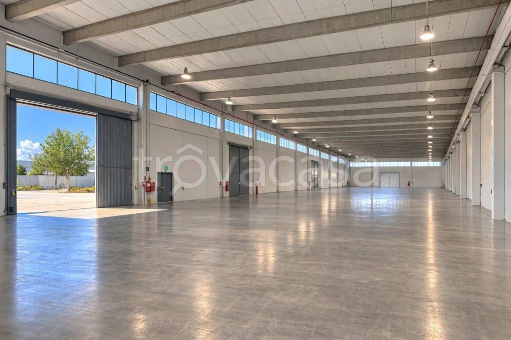 immagine annuncio 2 di 4