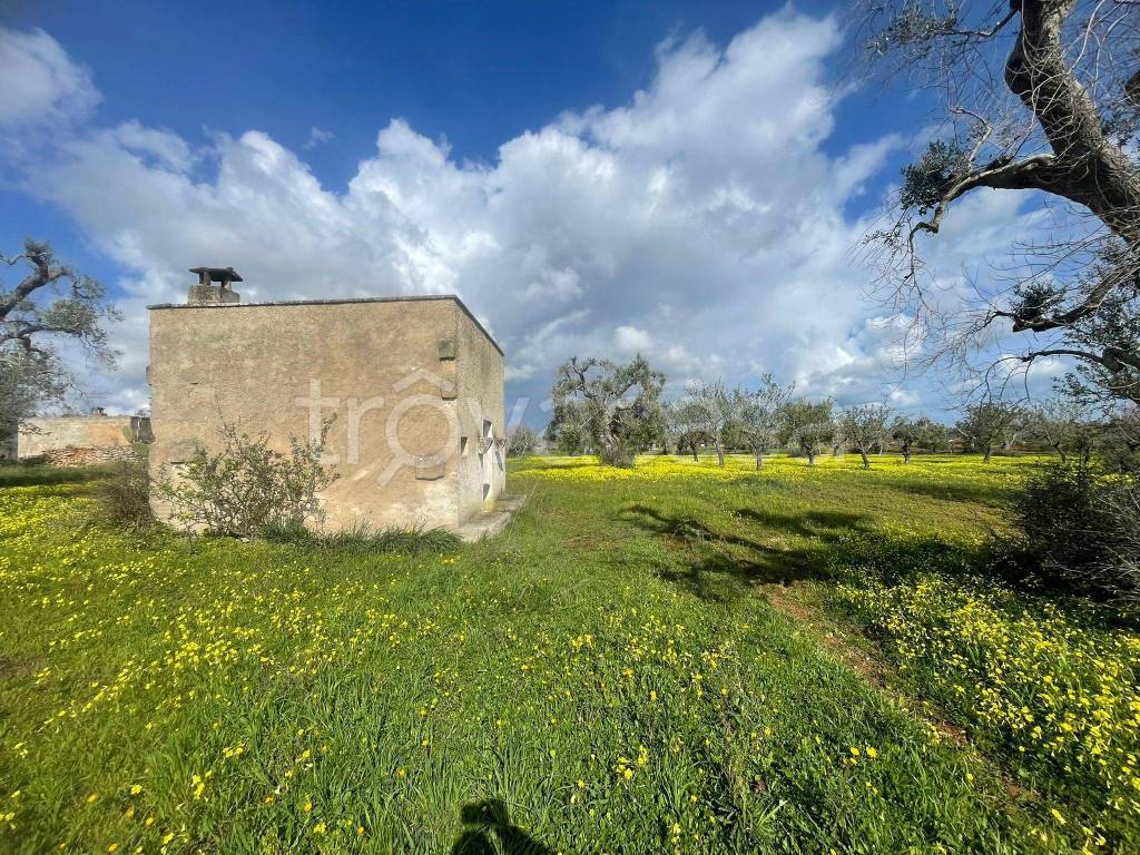 immagine annuncio 2 di 11