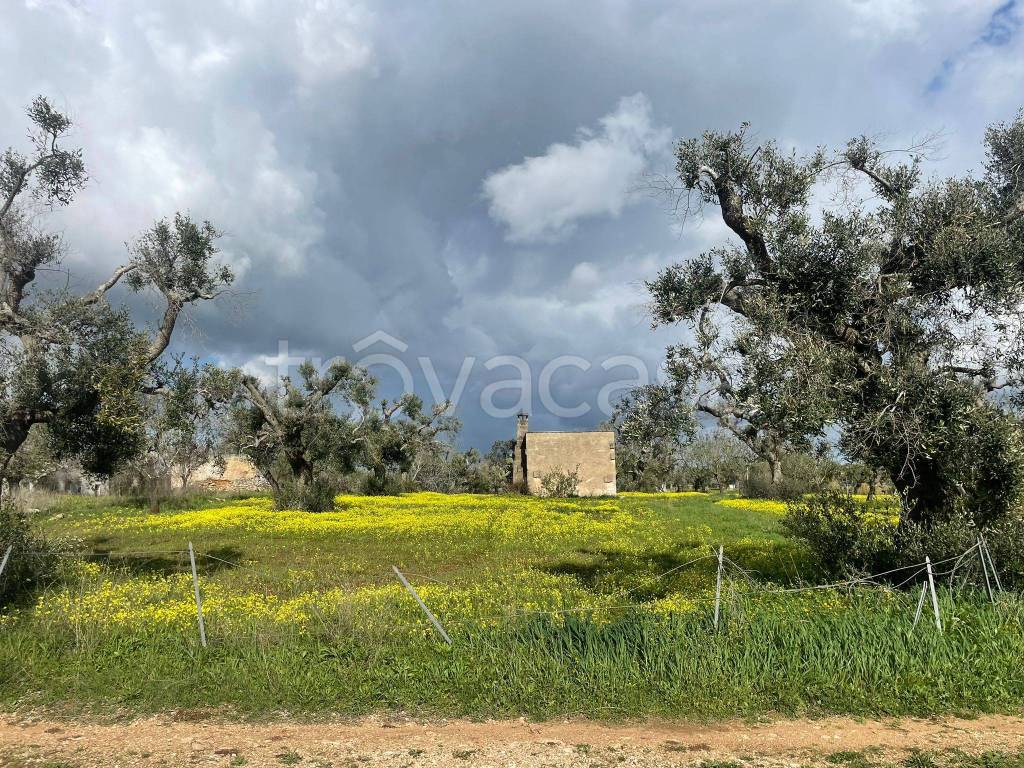 immagine annuncio 4 di 11