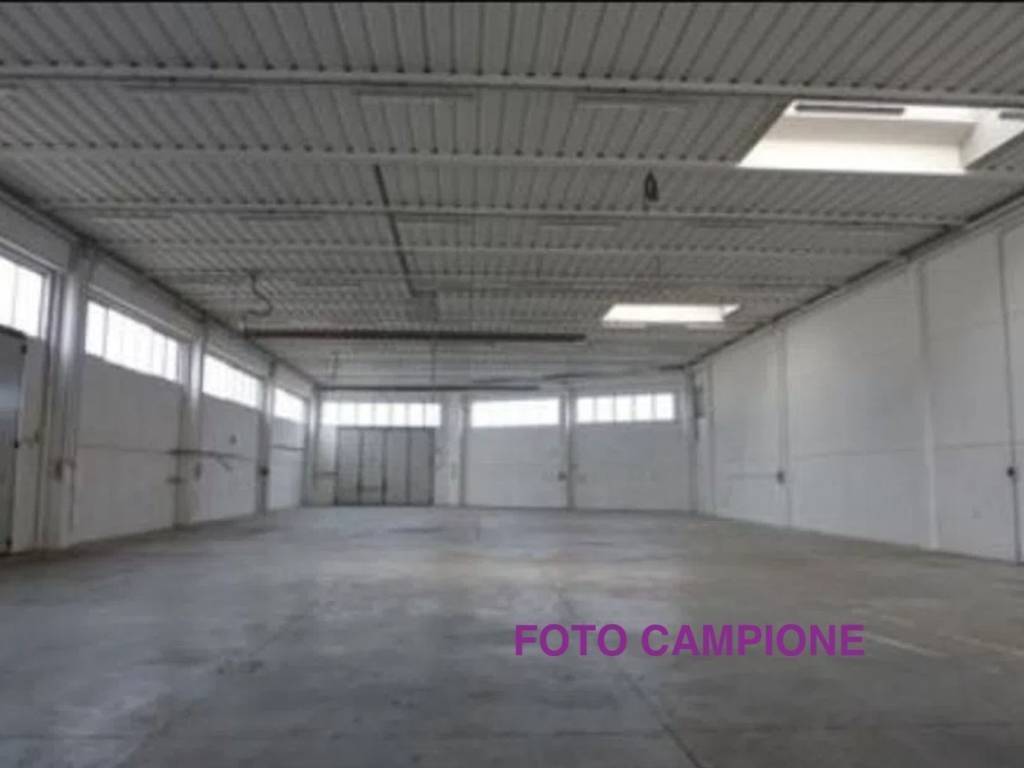 immagine annuncio 2 di 3