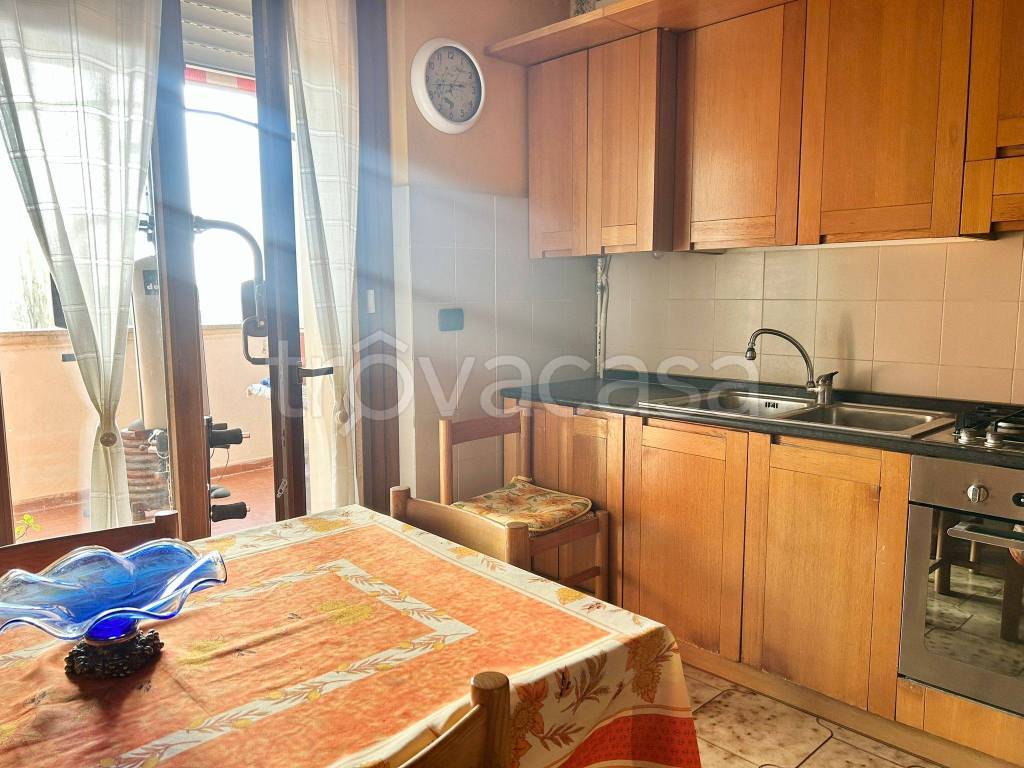 immagine annuncio 9 di 15