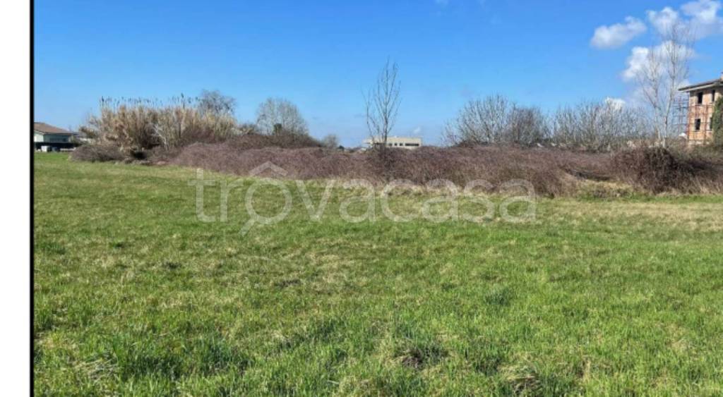 immagine annuncio 5 di 9