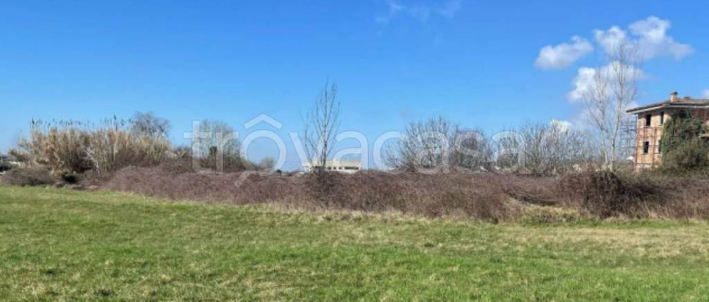 immagine annuncio 6 di 9