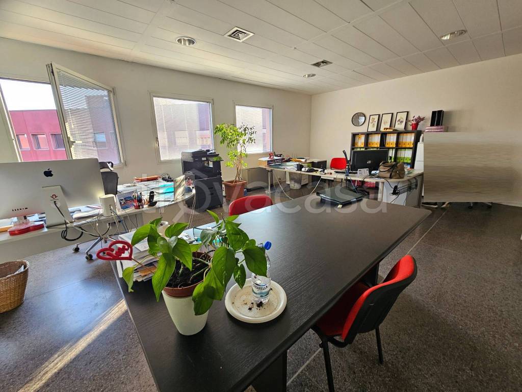 immagine annuncio 1 di 12