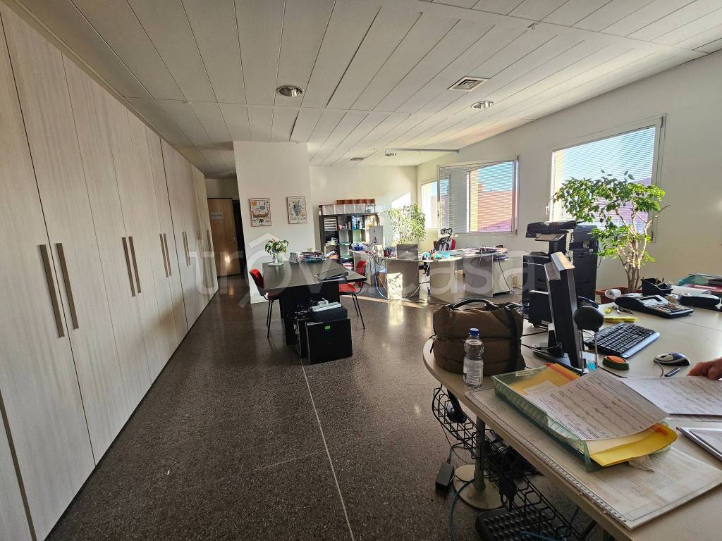 immagine annuncio 4 di 12