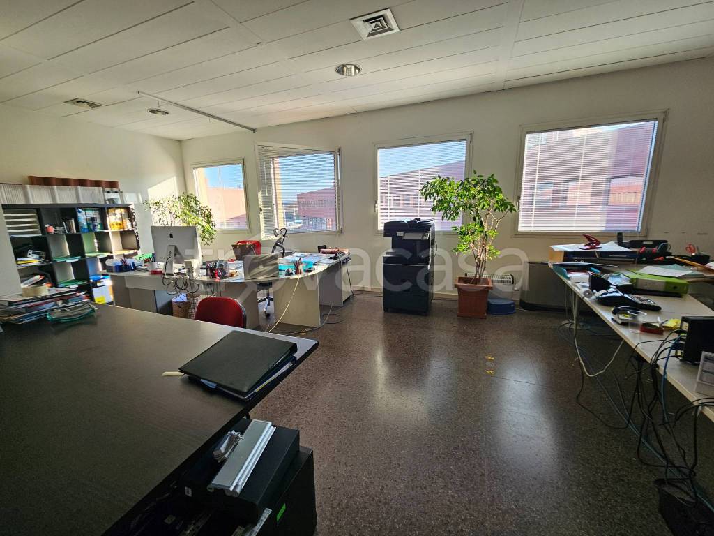 immagine annuncio 5 di 12