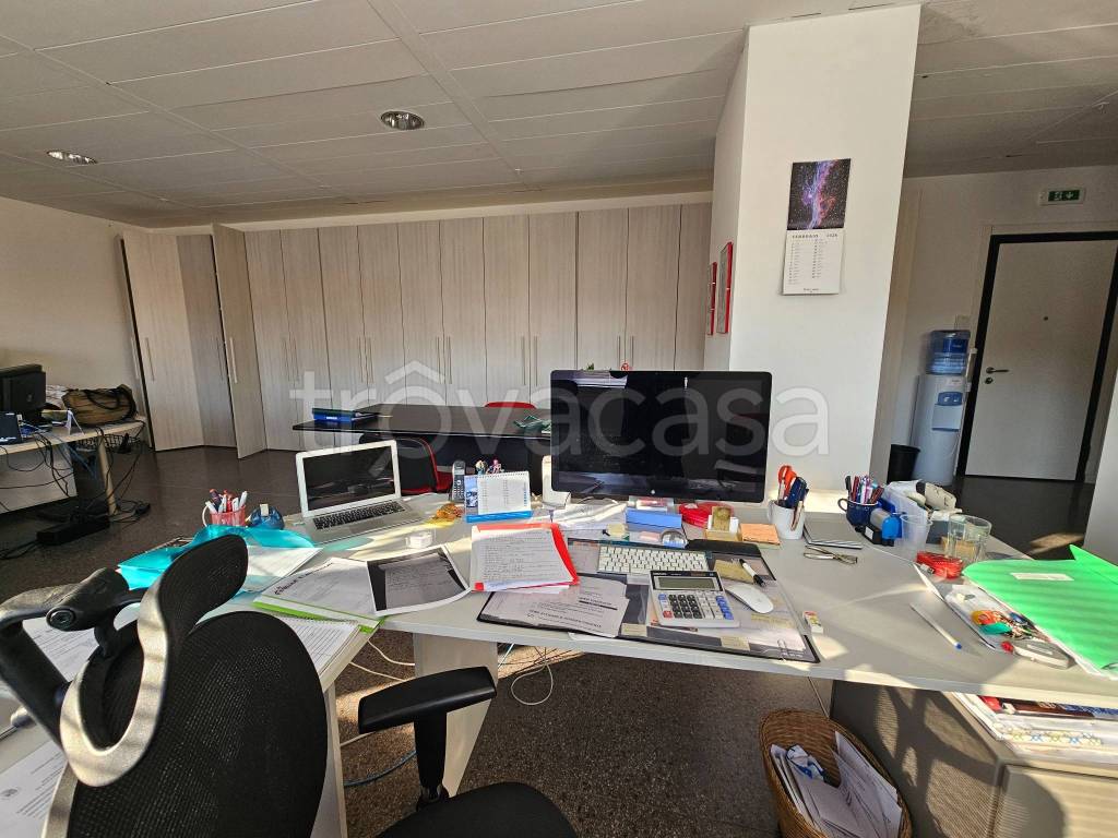 immagine annuncio 10 di 12