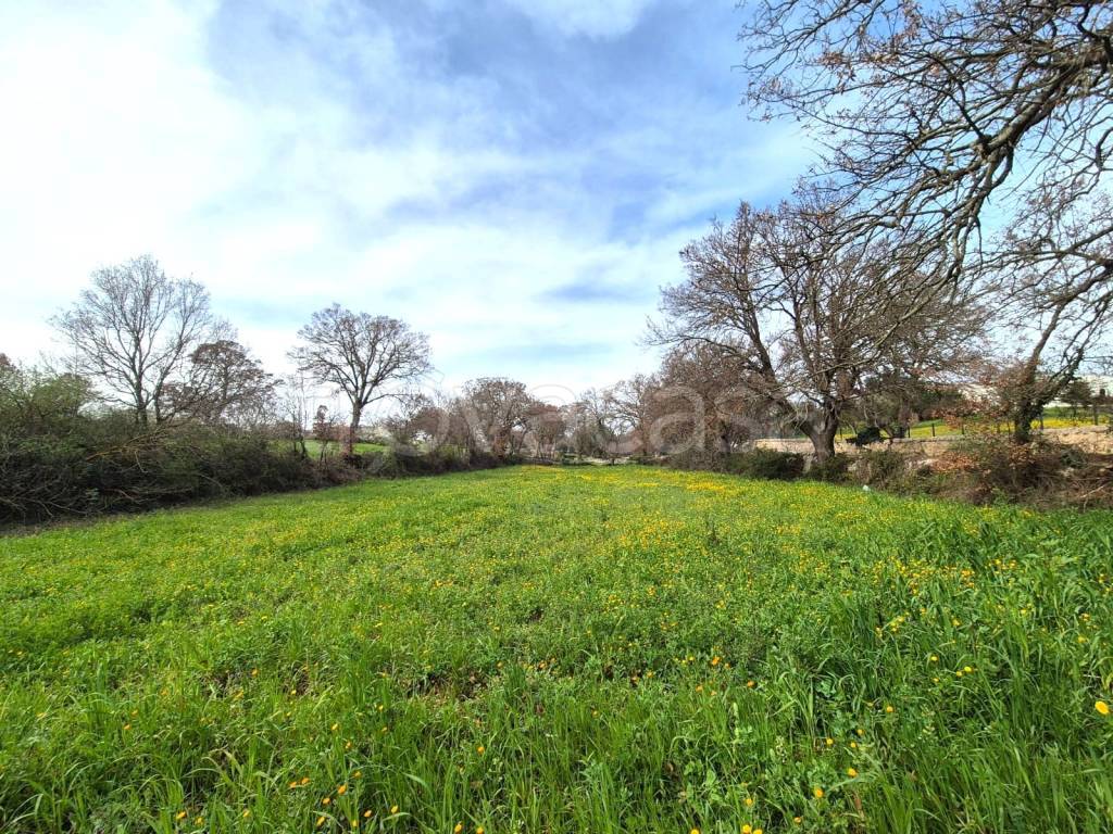 immagine annuncio 5 di 9