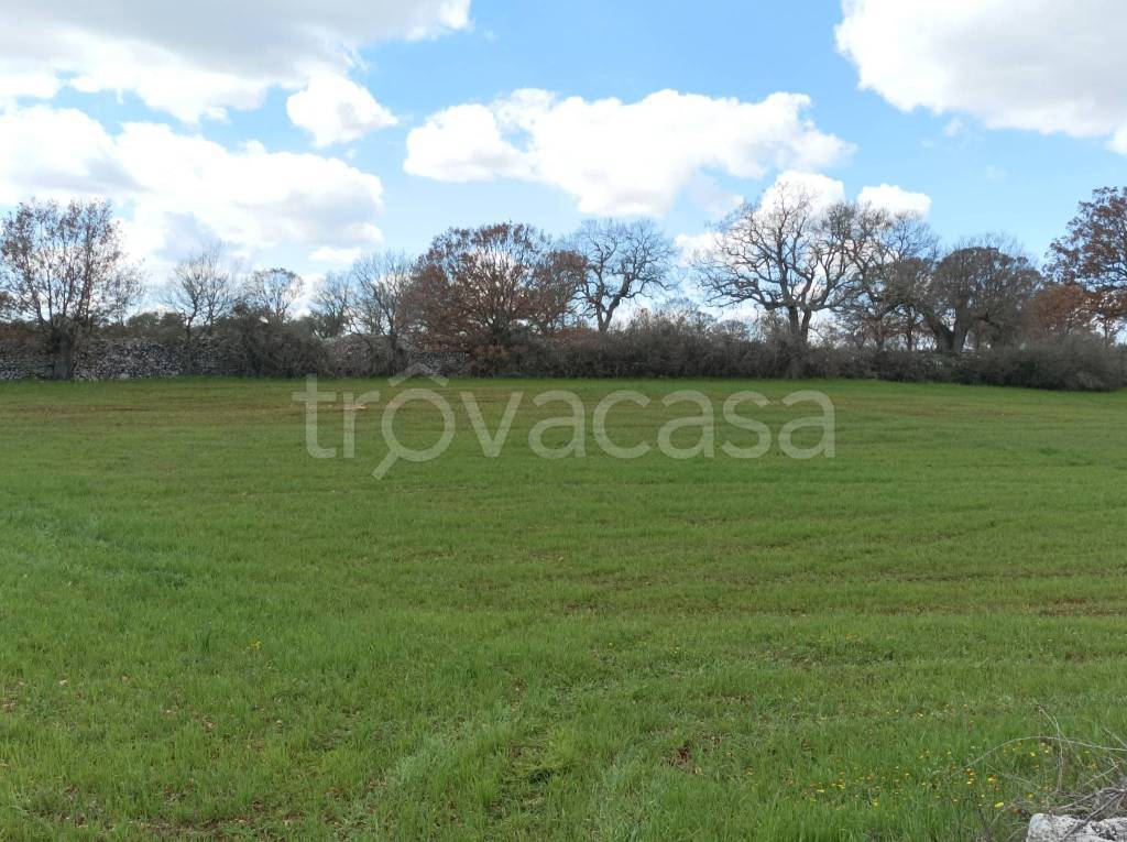 immagine annuncio 4 di 9