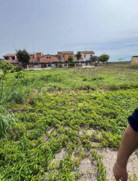 immagine annuncio 6 di 11