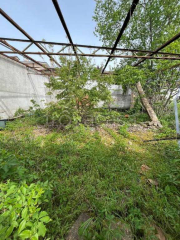 immagine annuncio 5 di 11