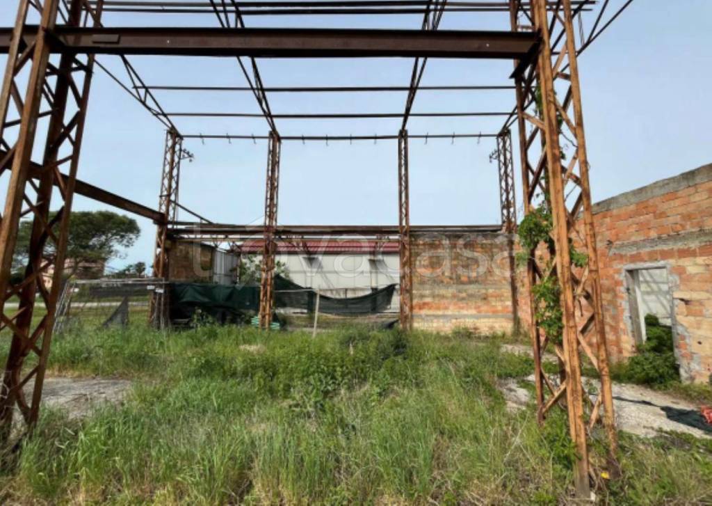 immagine annuncio 7 di 11