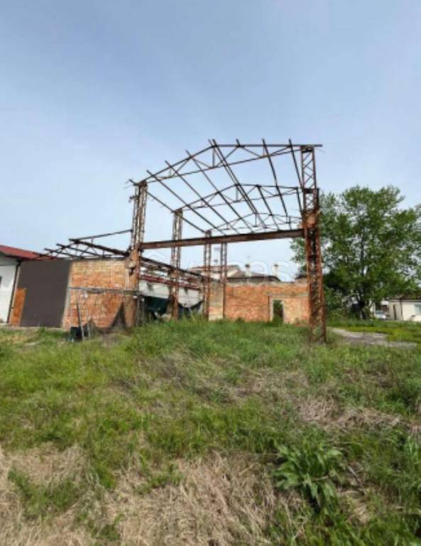 immagine annuncio 9 di 11