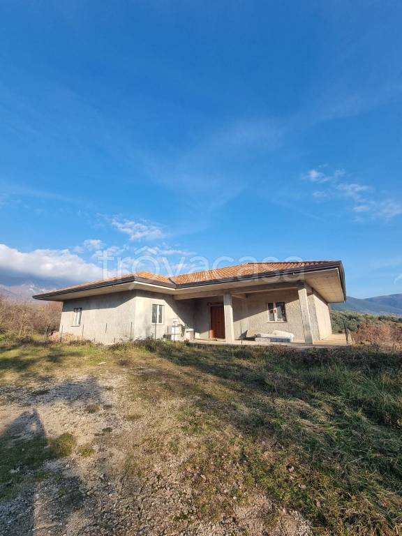 immagine annuncio 1 di 2