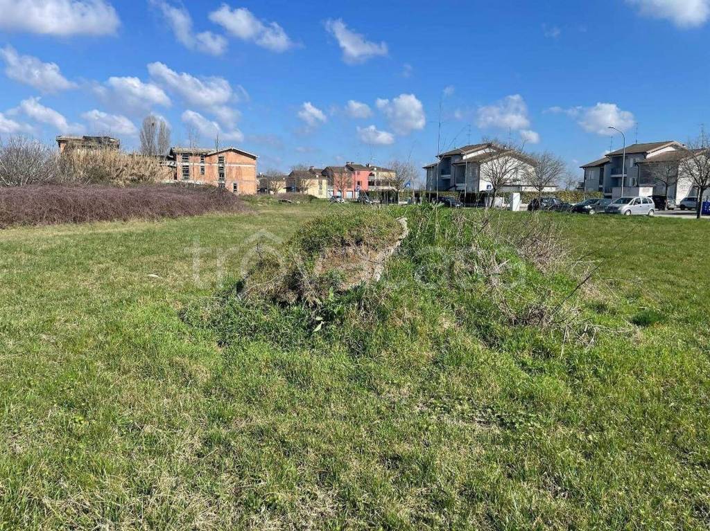 immagine annuncio 7 di 13