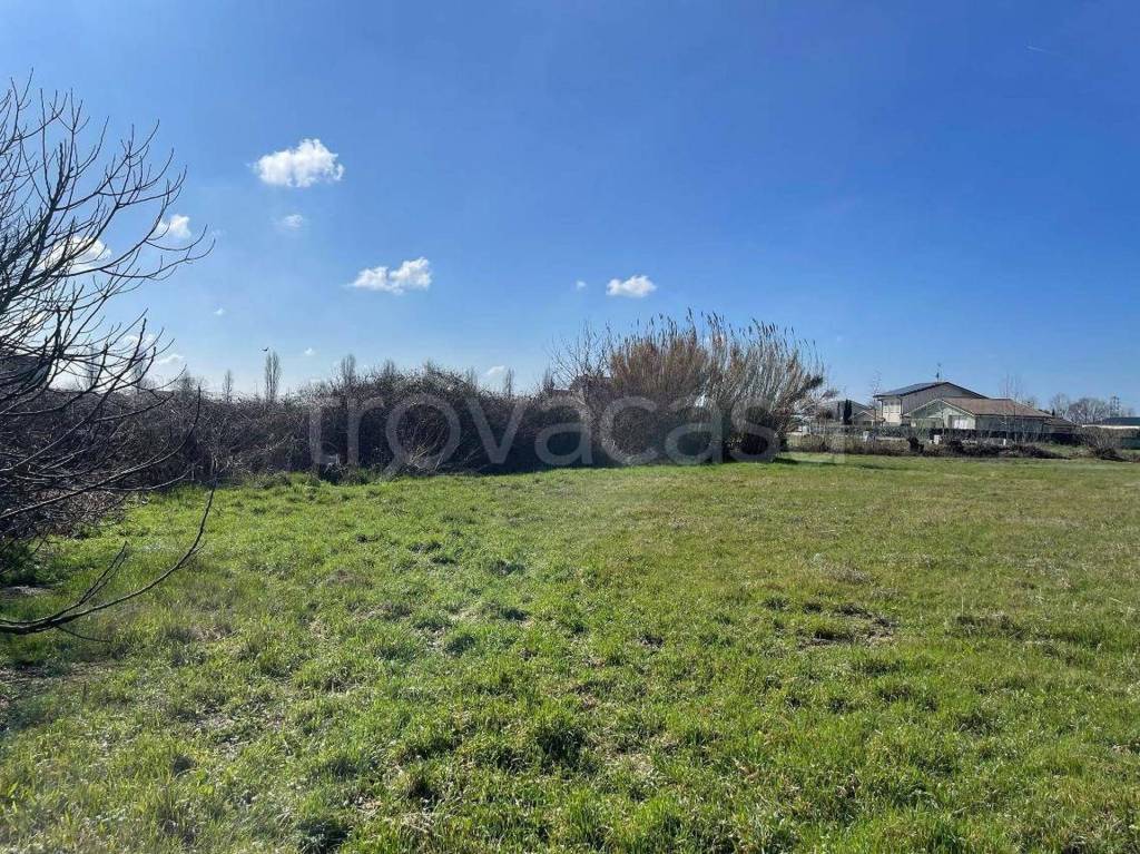 immagine annuncio 9 di 13