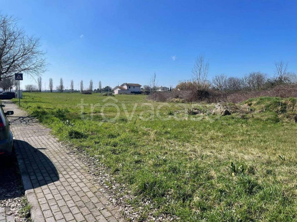 immagine annuncio 12 di 13