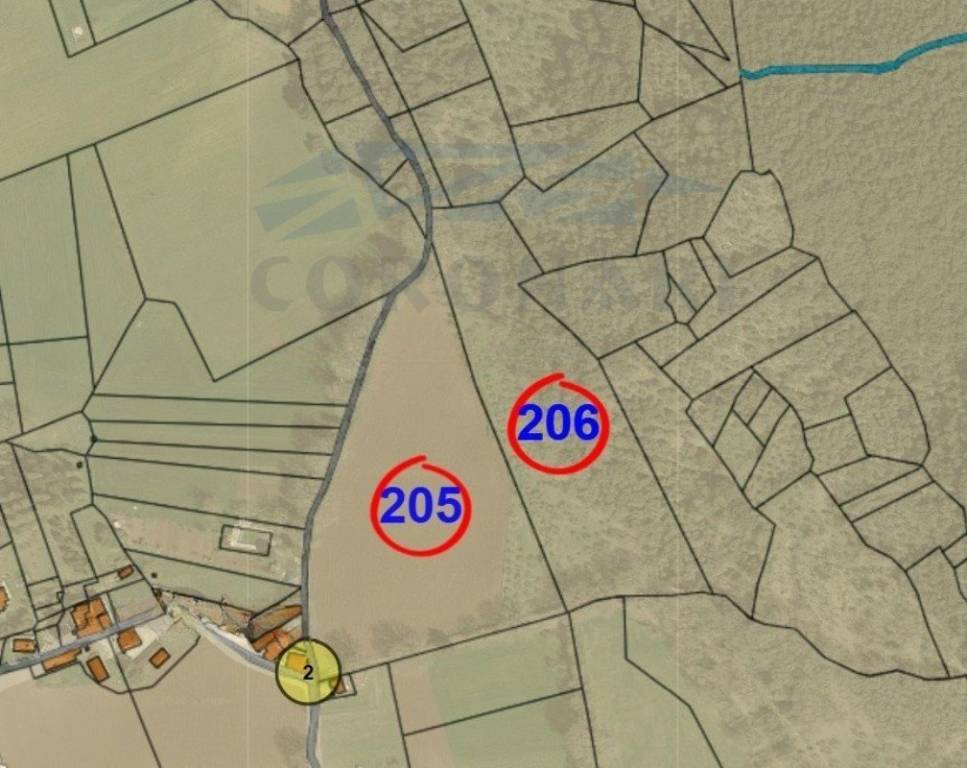 immagine annuncio 1 di 2