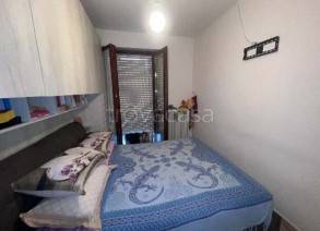 immagine annuncio 4 di 8