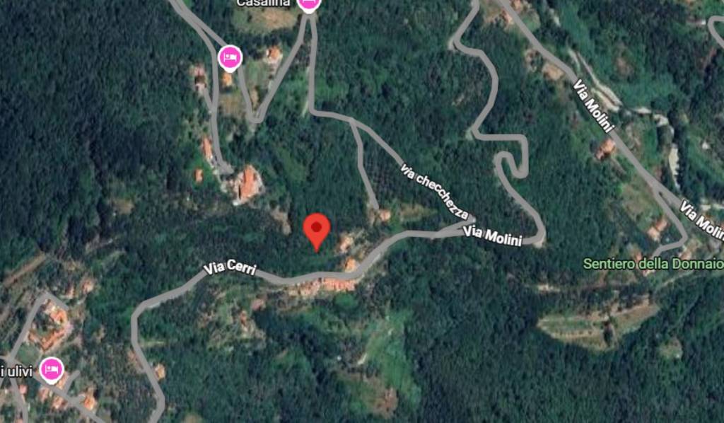 immagine annuncio 2 di 11