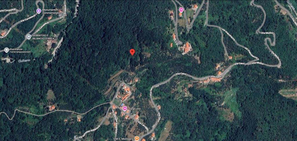 immagine annuncio 11 di 12