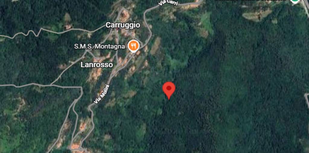 immagine annuncio 4 di 11