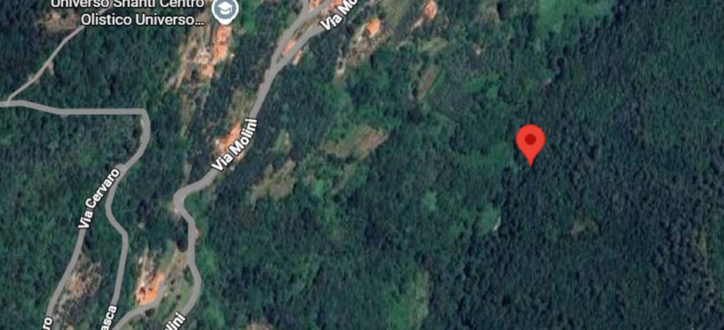 immagine annuncio 7 di 11