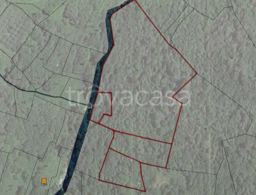 immagine annuncio 8 di 11