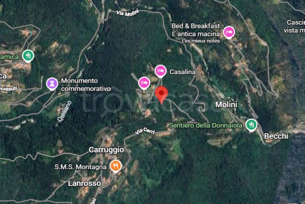 immagine annuncio 2 di 12