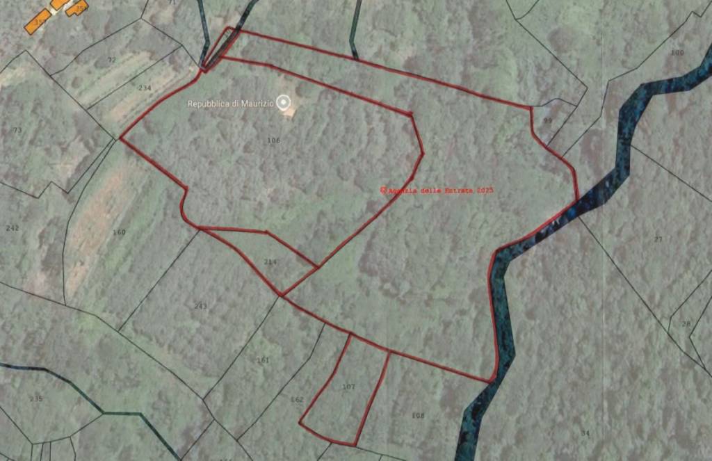 immagine annuncio 5 di 12