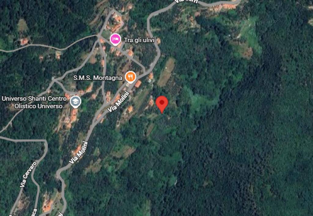 immagine annuncio 10 di 12