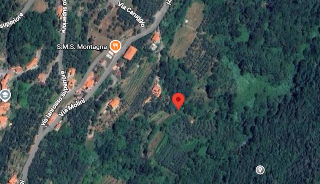 immagine annuncio 2 di 12