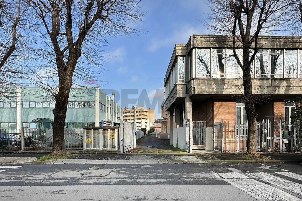 immagine annuncio 8 di 15