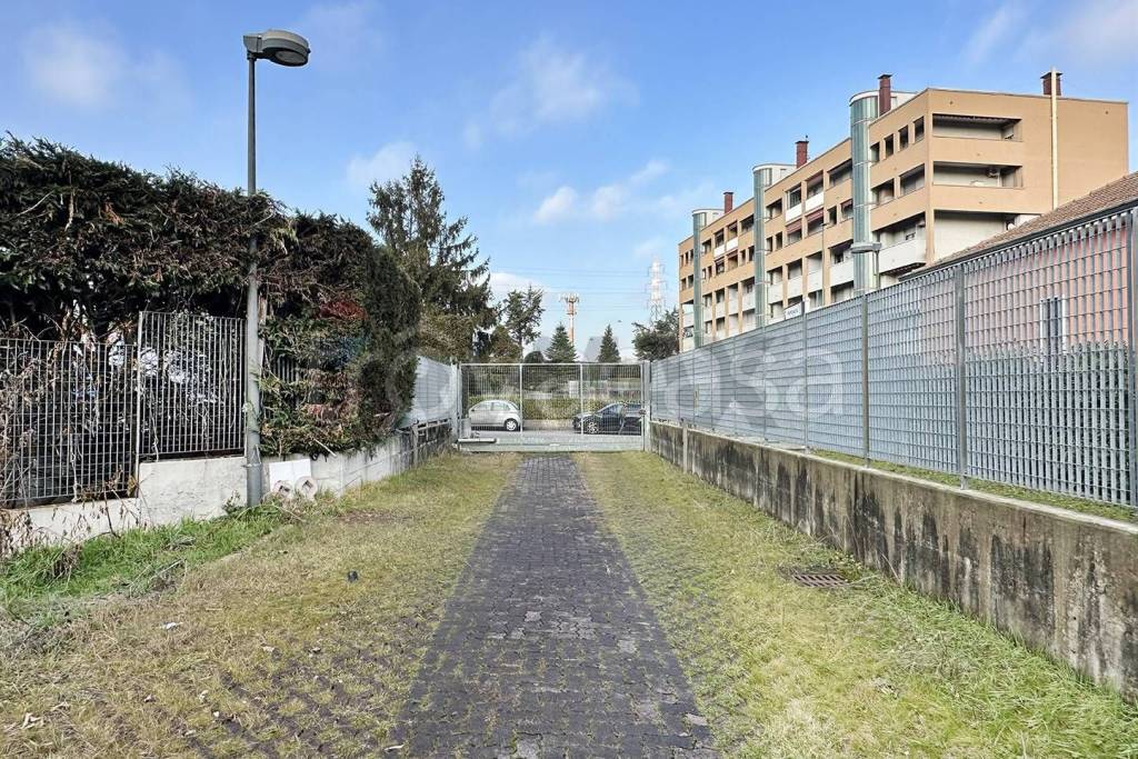 immagine annuncio 12 di 15