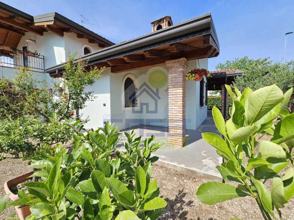 immagine annuncio 1 di 15