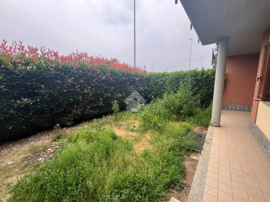 immagine annuncio 3 di 13