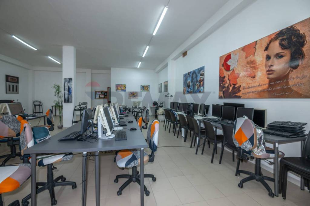 immagine annuncio 6 di 13