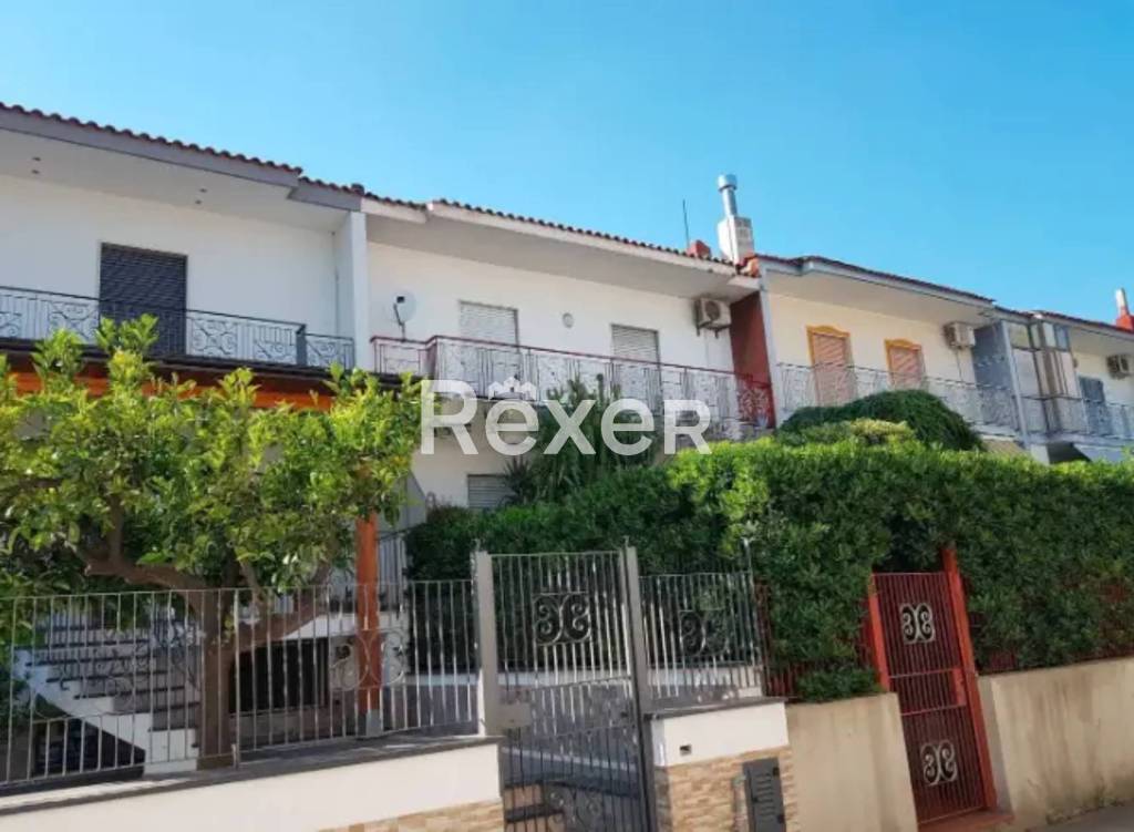 immagine annuncio 1 di 12