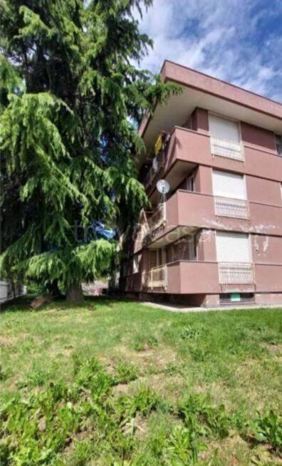 immagine annuncio 5 di 14