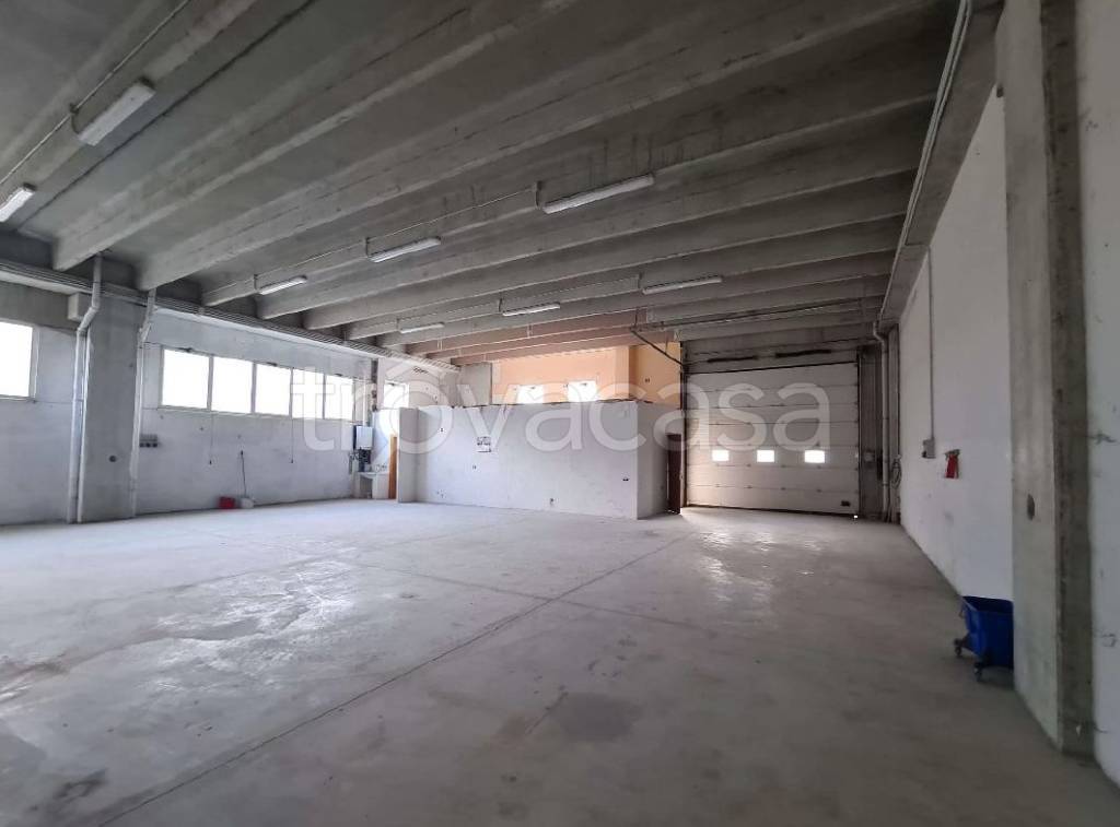 immagine annuncio 3 di 8