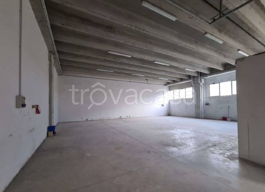 immagine annuncio 4 di 8