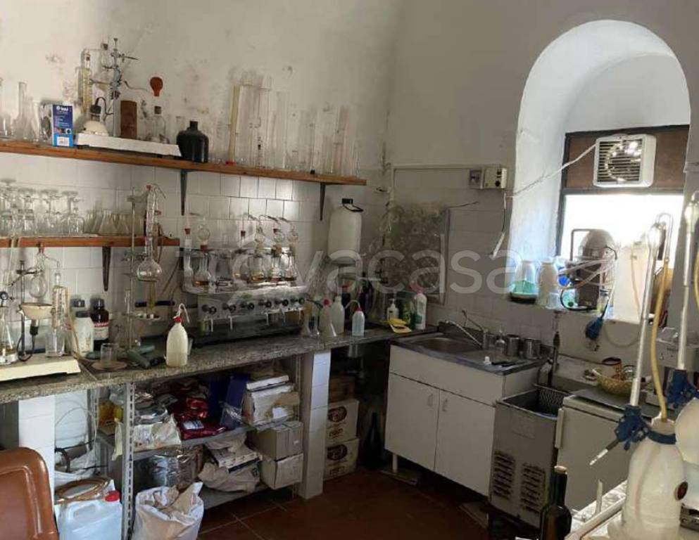 immagine annuncio 7 di 12