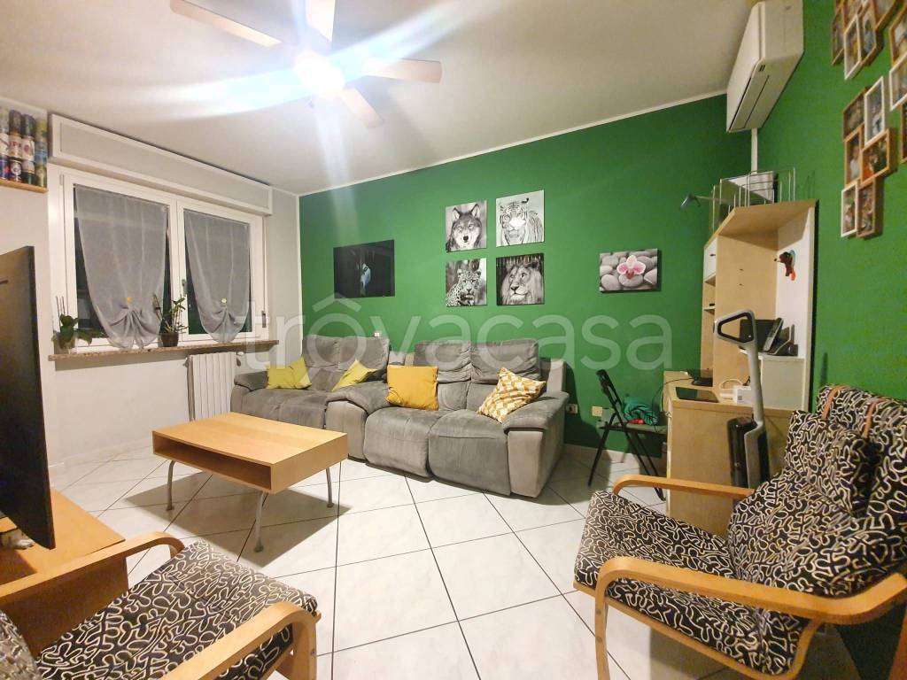 immagine annuncio 14 di 15