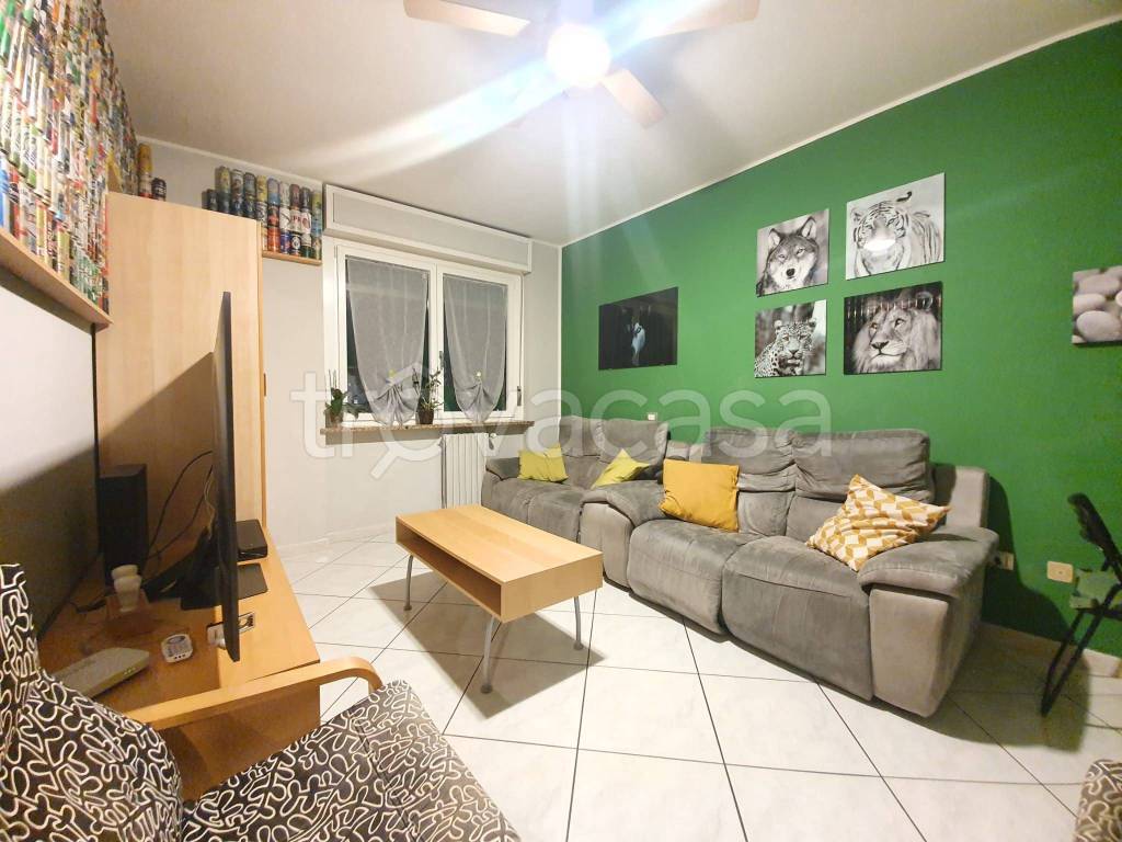 immagine annuncio 13 di 15