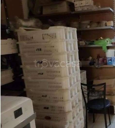 immagine annuncio 5 di 13