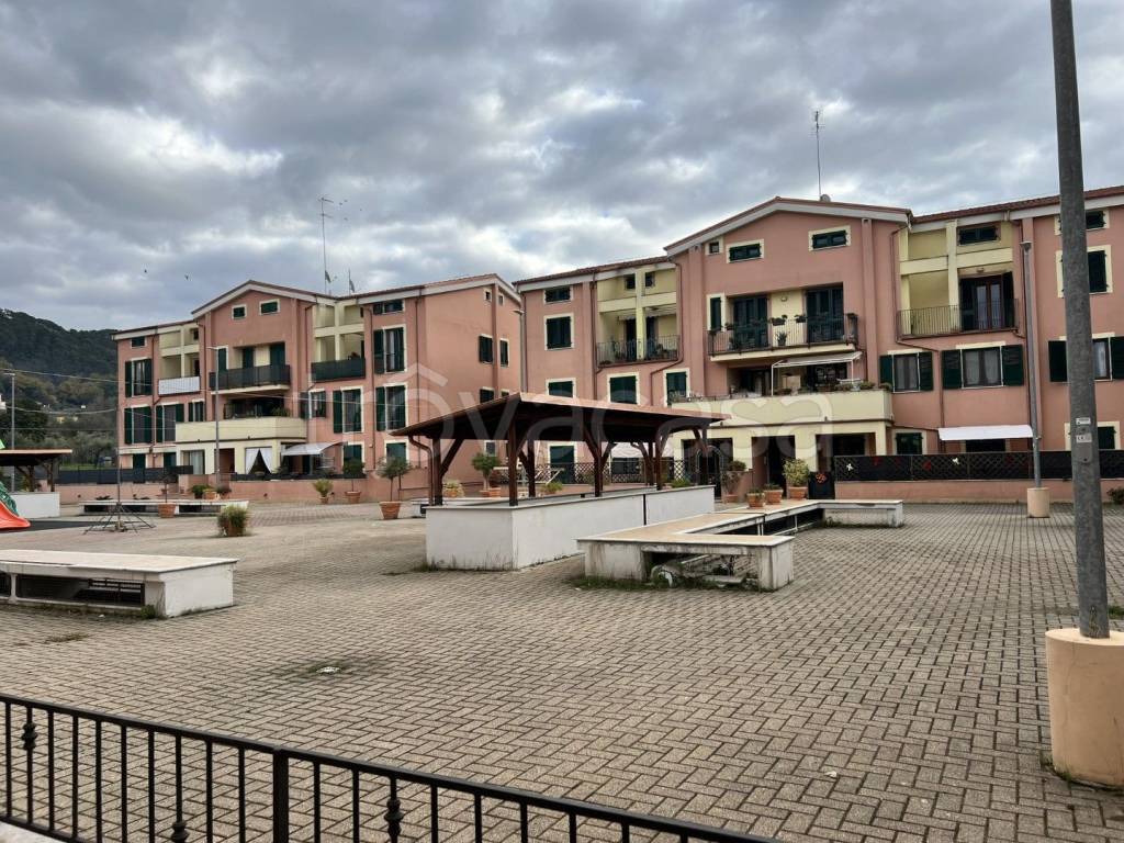 immagine annuncio 1 di 12